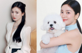 Chỉ riêng kiểu tóc buộc, Song Hye Kyo đã có 4 cách biến hóa vừa xinh vừa yêu chị em có thể học hỏi