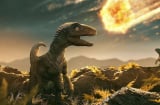 Điều khủng khiếp gì đã xảy ra vào cái ngày thiên thạch khổng lồ rơi xuống Trái đất khiến khủng long bị tuyệt diệt?