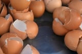 Vỏ trứng nấu nướng xong đừng vội vứt đi, cứ rửa rồi làm theo cách này, tiết kiệm tiền triệu mỗi năm