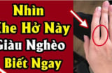 Khép các ngón tay lại xem có bao nhiêu kẽ hở: Biết ngay tính cách và vận mệnh một người