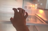 Vì sao tủ lạnh chỉ có đèn ở ngăn mát, ngăn đá thì tối om?