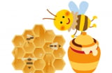 Muốn dùng mật ong hiệu quả, chớ dùng cùng những thứ sau