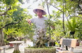Biến cây dại thành cây bonsai giá triệu độ, nằm trong bộ Tứ Linh, có tiền chưa chắc đã mua được