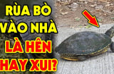 Nhà có ngũ phúc lộc hưởng 5 đời, ngũ phúc gồm những gì?