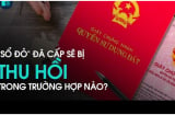 Từ 1/8/2024: 6 trường hợp này bị thu hồi Sổ Đỏ, người dân nên biết sớm kẻo mất tiền oan