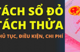 Từ 1/8/2024: Đất tách thửa phải đáp ứng đủ 4 điều kiện này mới được cấp Sổ đỏ: Đó là gì?