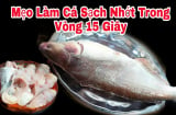 Đem cá ngâm trong thứ nước này 10 phút: Khử hết mùi tanh, cá chắc thịt hơn hẳn