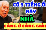 Nhà ai có 3 tiếng ồn, đừng khó chịu, thần Tài đang đến rất gần