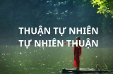 Người xưa dạy: Sống là phải biết nhìn xa trông rộng nhưng cuối cùng phải thuận theo tự nhiên, nghĩa là sao?