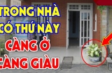 Nhà sắp phát tài nhìn 4 điểm này là rõ ngay: Đó là gì?