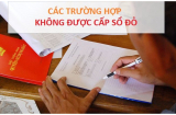 Từ 1/1/2025: 7 trường hợp này không được cấp Sổ Đỏ