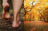 Cổ nhân dặn: Sang đầu thu, ăn ba món, uống ba loại, làm ba việc, và tránh ba điều cấm kỵ kẻo tai họa