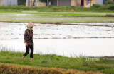Không sử dụng bỏ hoang đất nông nghiệp 1 năm người dân có thể bị thu hồi đất?