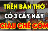 3 loại cây đặt lên bàn thờ tiền vào như nước: Nhà giàu nào cũng có 1 cây