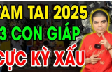 3 con giáp dính Tam Tai năm Ất Tỵ 2025: Ngồi không cũng mất tiền