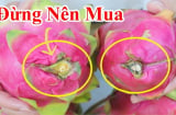 Chủ vườn nói: Mua thanh long muốn chọn quả ngọt đậm, dày cùi cứ làm cách này là biết