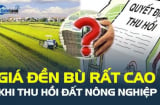 Cách tính giá đền bù đất nông nghiệp bị thu hồi như thế nào? Có cao không?