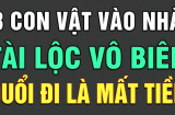 3 loài vật này đệ tử Thần Tài bước vào nhà, tiền vào như nước