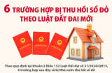 Từ nay tới 31/12/2024: 6 trường hợp đất bị thu hồi Sổ Đỏ, cố tình giữ lại càng bị phạt nặng