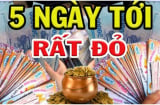 5 ngày tới (29/8- 3/9 Dương): 3 tuổi Đắc Lộc cầu được ước thấy tiền vào như nước