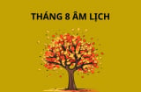 Mùng 1 tháng 8 âm lịch, hết tháng cô hồn chào tháng trăng đẹp, nhớ làm việc này để rước tài lộc