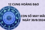 Tử vi ngày 30/8, chọn con số đẹp con số may mắn hứng đầy tài lộc cho 12 cung hoàng đạo