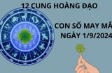 Tử vi ngày 1/9, con số may mắn, con số đẹp nhất cho 12 cung hoàng đạo rước tài rước lộc