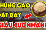 Đặt thùng gạo nhớ nguyên tắc '2 kín – 1 đầy', tiền tự về tay