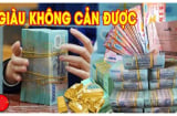 23 ngày cuối cùng tháng 9 Dương: 3 tuổi Đắc Lộc, Đắc Tài ước gì được nấy, giàu không cản được