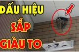 3 người này ghé nhà Thần Tài tới thăm: Đặc biệt vị trí thứ 2, xin chúc mừng bạn sắp giàu to