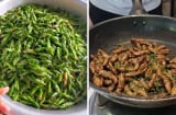 Con vật xưa cho không ai ăn, nay được hội nhà giàu săn lùng giá bán tới 800 nghìn/ kg không có mà mua