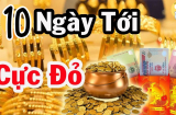 Từ ngày 10/9-20/9: 3 tuổi cá Chép hóa Rồng, Tài-Lộc-Danh phất lên rực rỡ