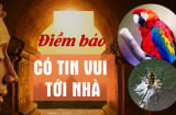 6 điềm lành đến cửa, gia đình đón tin vui, tiền bạc lũ lượt đổ về