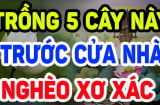 Tổ Tiên nói: 'Trong nhà có 5 loại cây cảnh, hoa tươi người héo, tuyệt đối đừng trồng'