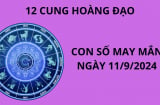 Tử vi ngày 11/9, những con số may mắn số đẹp cho 12 cung hoàng đạo, chọn đúng sẽ giàu to