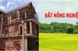 Từ 9/2024: Người dân có 2 loại giấy này xây nhà trên đất nông nghiệp không lo bị phạt, đó là gì?