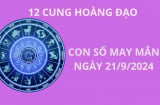 Tử vi ngày 21/9 những con số may mắn, số đẹp thu thút tài lộc giàu có cho 12 cung hoàng đạo