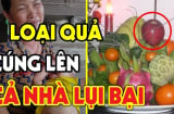 4 loại trái cây thơm ngon, đẹp mắt nhưng người xưa kiêng thắp hương, biết kẻo mất lộc