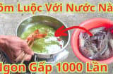 Luộc tôm cho thêm nắm lá này khử hết mùi tanh, tôm đỏ au lại không bị đen đầu