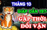 Mùng 1 sớm mai, mùng 2 đầu tháng, 3 con giáp này làm ăn xuôi thuận nhất tháng 10/2024