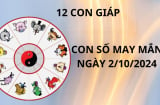 Tử vi ngày 2/10 chọn con số may mắn số đẹp cho 12 con giáp rước tài hút lộc giàu có