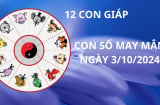 Tử vi ngày 3/10 cho 12 con giáp số may mắn số đẹp thu hút tài lộc giàu có