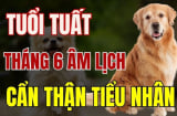 4 tháng sinh “khốn khổ nhất” đối với người tuổi Tuất, giàu có khó đến tay