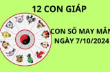 Tử vi ngày 7/10, chọn con số may mắn rước tài lộc cho 12 con giáp khởi sắc giàu sang