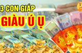 Top 3 tuổi giàu nhất Ất Tỵ 2025: Đặc biệt số 2 tiền chất như núi, giàu số 2 không ai số 1