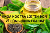 Uống trà hay không uống trà sẽ sống thọ hơn? Khoa học đã nghiên cứu và cho câu trả lời bất ngờ