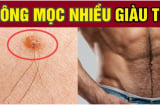 3 vị trí này mộc lông, ngồi không cũng có lộc: Chủ nhân chuẩn bị tinh thần đón vận may