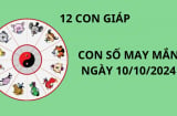 Tử vi ngày 10/10 con số may mắn số đẹp cho 12 con giáp thuận lợi giàu có tiền bạc, đong đầy tình cảm