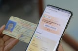 Kể từ 01/2025: Có 3 loại giấy phép lái xe không thời hạn