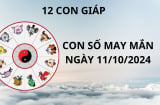Tử vi ngày 11/10 con số may mắn cho 12 con giáp gặp thuận lợi phát tài